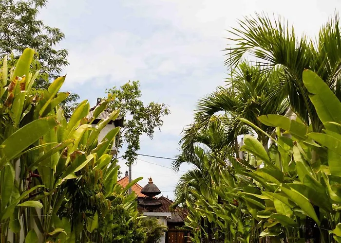 Clove Villa